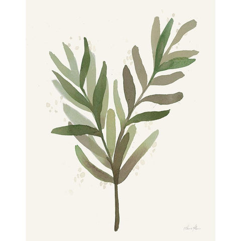 Leaf and Stem VIII Black Modern Wood Framed Art Print by Horn, Laura