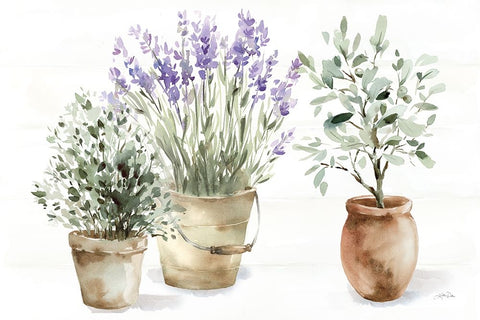 Farmhouse Still Life White Modern Wood Framed Art Print with Double Matting by Pete, Katrina