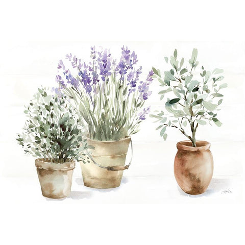 Farmhouse Still Life Black Modern Wood Framed Art Print by Pete, Katrina