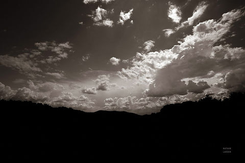 From Below Black Ornate Wood Framed Art Print with Double Matting by Larson, Nathan