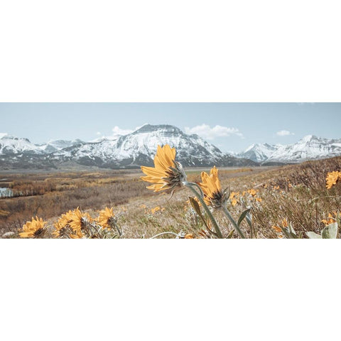 Crop White Modern Wood Framed Art Print by Larson, Nathan