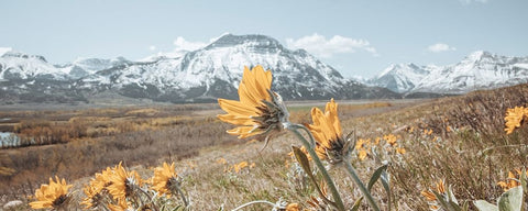 Crop Black Ornate Wood Framed Art Print with Double Matting by Larson, Nathan