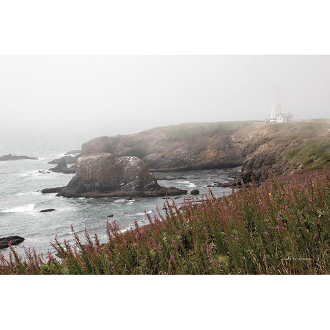 Coastal Fog II Gold Ornate Wood Framed Art Print with Double Matting by Van Swearingen, Debra