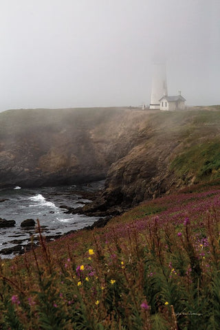 Coastal Fog IV White Modern Wood Framed Art Print with Double Matting by Van Swearingen, Debra