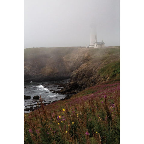 Coastal Fog IV Black Modern Wood Framed Art Print by Van Swearingen, Debra