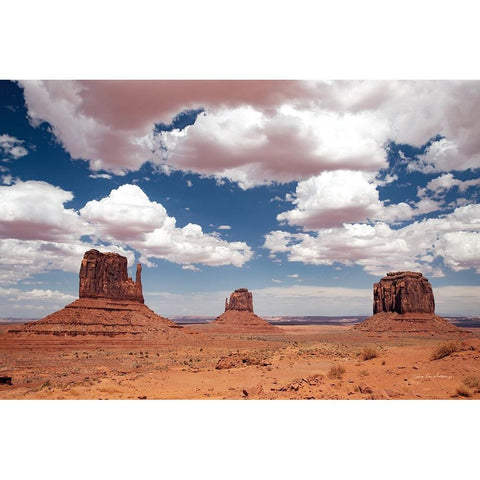 Monument Valley III Black Modern Wood Framed Art Print with Double Matting by Van Swearingen, Debra