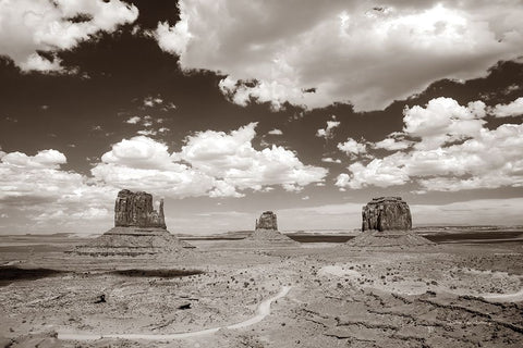 Monument Valley I Sepia Black Ornate Wood Framed Art Print with Double Matting by Van Swearingen, Debra