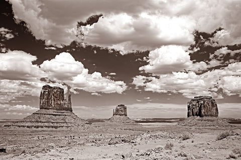 Monument Valley III Sepia Black Ornate Wood Framed Art Print with Double Matting by Van Swearingen, Debra