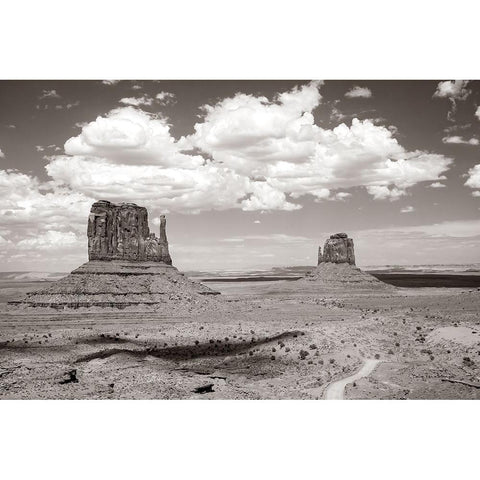 Monument Valley IV Sepia Black Modern Wood Framed Art Print with Double Matting by Van Swearingen, Debra