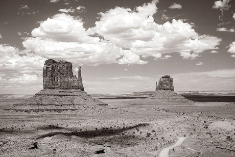 Monument Valley IV Sepia Black Ornate Wood Framed Art Print with Double Matting by Van Swearingen, Debra