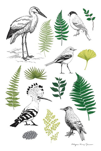 Nature Chart I Black Ornate Wood Framed Art Print with Double Matting by Kucwaj-Tybur, Kasia