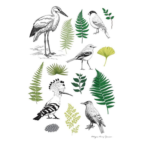 Nature Chart I White Modern Wood Framed Art Print by Kucwaj-Tybur, Kasia