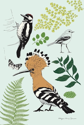 Nature Chart II White Modern Wood Framed Art Print with Double Matting by Kucwaj-Tybur, Kasia