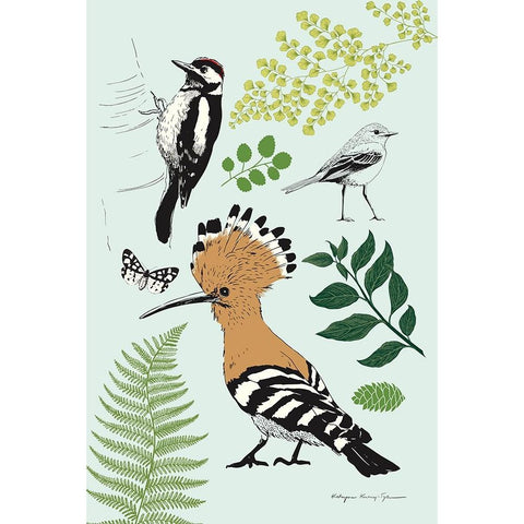 Nature Chart II Black Modern Wood Framed Art Print with Double Matting by Kucwaj-Tybur, Kasia