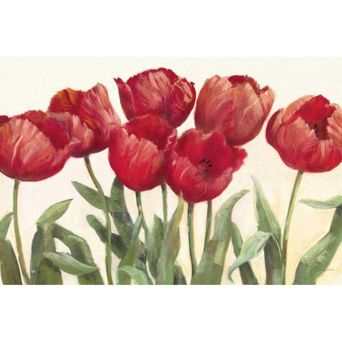 Ruby Tulips Wag Black Modern Wood Framed Art Print with Double Matting by Rowan, Carol