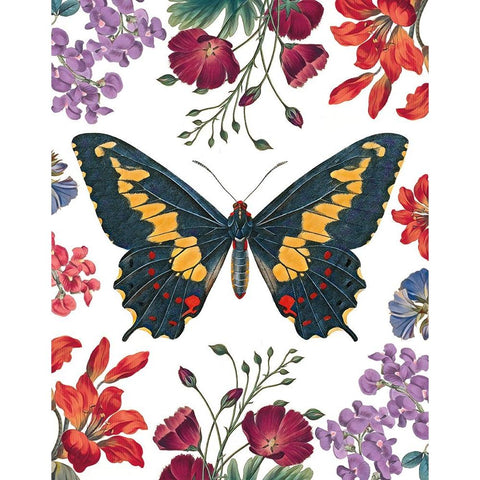 Butterfly Garden III Black Modern Wood Framed Art Print by Portfolio, Wild Apple