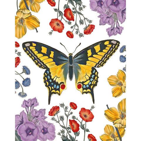 Butterfly Garden IV Black Modern Wood Framed Art Print with Double Matting by Portfolio, Wild Apple