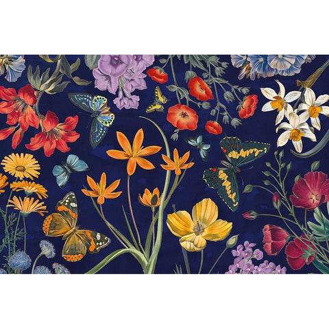 Butterfly Garden VI Dark Black Modern Wood Framed Art Print by Portfolio, Wild Apple