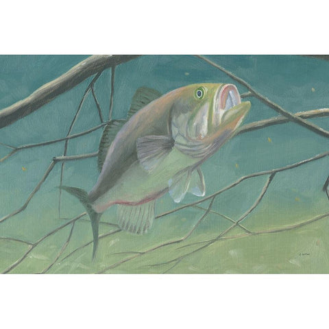 Fresh Catch II Black Modern Wood Framed Art Print by Wiens, James