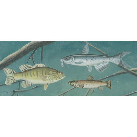 Fresh Catch III Black Modern Wood Framed Art Print with Double Matting by Wiens, James