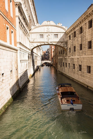 Bridge of Sighs Black Ornate Wood Framed Art Print with Double Matting by Aledanda