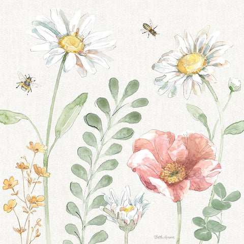 Daisy Days III White Modern Wood Framed Art Print with Double Matting by Grove, Beth