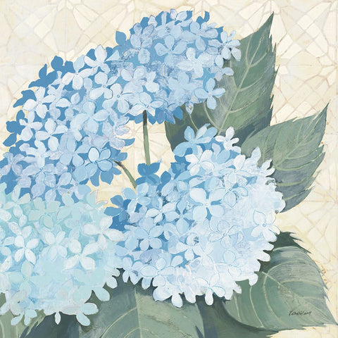 Decorative Hydrangea II Providence White Modern Wood Framed Art Print with Double Matting by Lovell, Kathrine