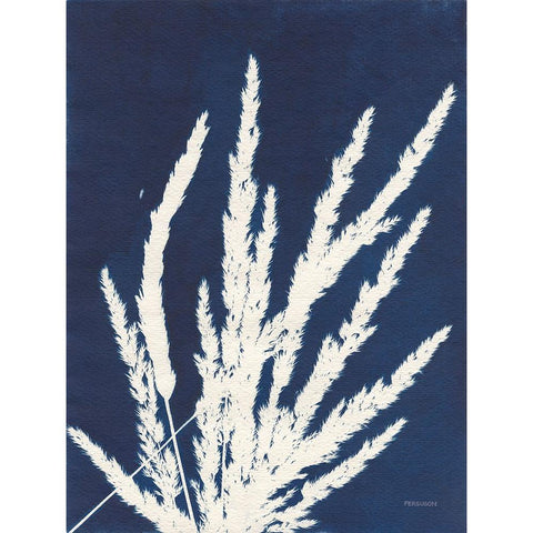 Ornamental Grass II Black Modern Wood Framed Art Print with Double Matting by Ferguson, Kathy