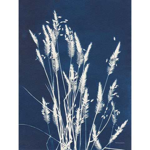 Ornamental Grass III Black Modern Wood Framed Art Print with Double Matting by Ferguson, Kathy