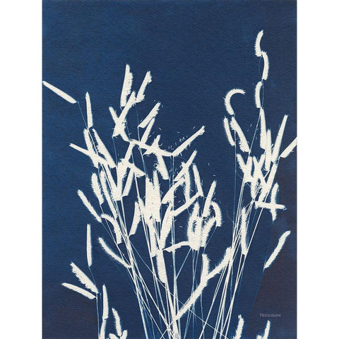 Ornamental Grass IV White Modern Wood Framed Art Print by Ferguson, Kathy