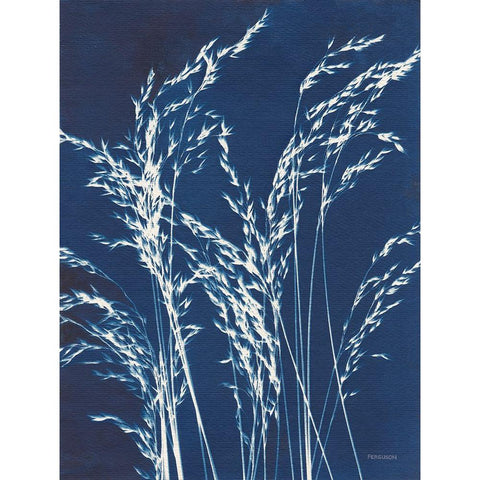 Ornamental Grass V White Modern Wood Framed Art Print by Ferguson, Kathy