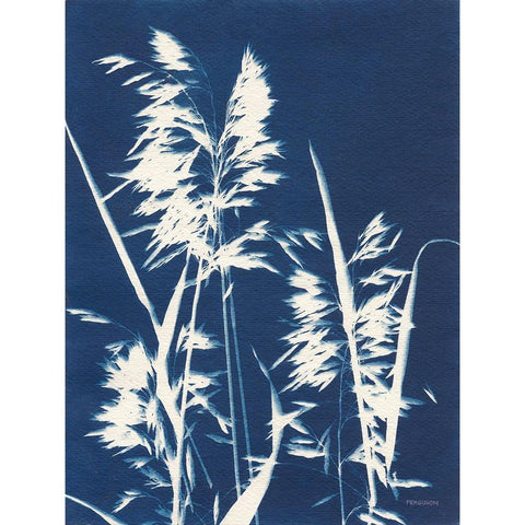 Ornamental Grass VI Black Modern Wood Framed Art Print with Double Matting by Ferguson, Kathy