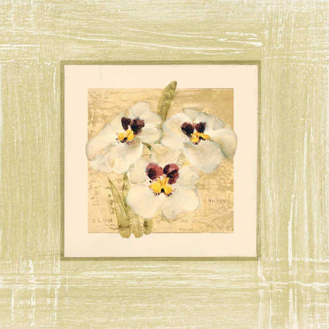 Exotic Floral I White Modern Wood Framed Art Print with Double Matting by Blum, Cheri