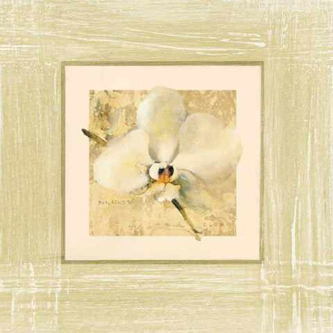 Exotic Floral III Gold Ornate Wood Framed Art Print with Double Matting by Blum, Cheri