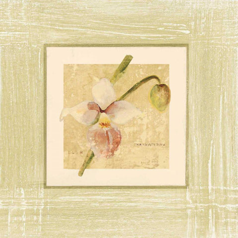 Exotic Floral IV White Modern Wood Framed Art Print by Blum, Cheri