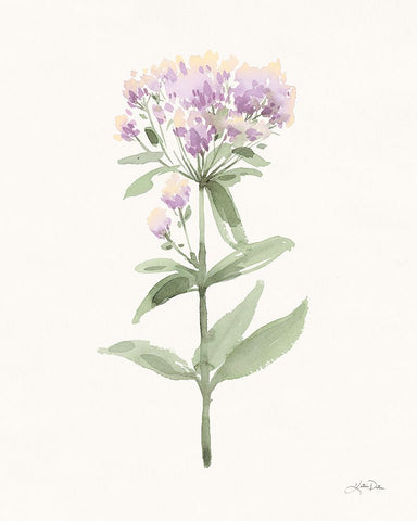 Flowers of the Wild II Pastel Black Ornate Wood Framed Art Print with Double Matting by Pete, Katrina