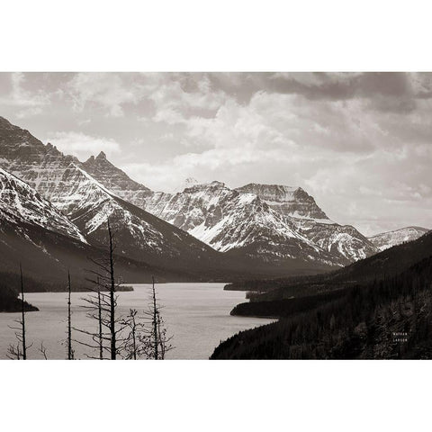 Spring Range Black Modern Wood Framed Art Print by Larson, Nathan