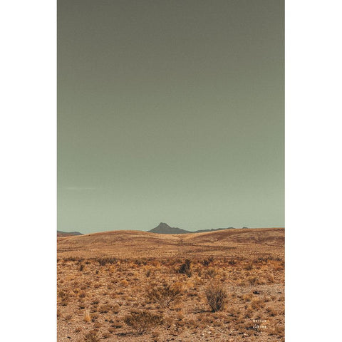 Welcome III Black Modern Wood Framed Art Print by Larson, Nathan