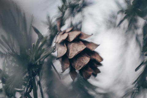 cooling Black Modern Wood Framed Art Print by Larson, Nathan