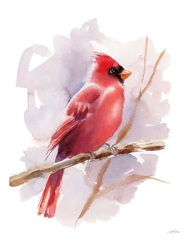 Winter Cardinal White Modern Wood Framed Art Print with Double Matting by Pete, Katrina