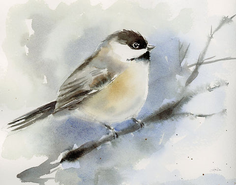 Winter Chickadee White Modern Wood Framed Art Print with Double Matting by Pete, Katrina