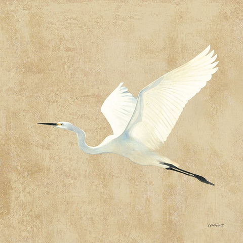 Egret Alighting II Flipped Neutral No Grass White Modern Wood Framed Art Print with Double Matting by Lovell, Kathrine