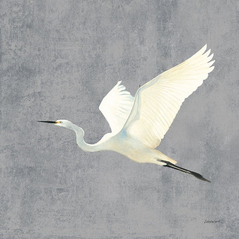 Egret Alighting II Flipped Gray No Grass Black Modern Wood Framed Art Print by Lovell, Kathrine