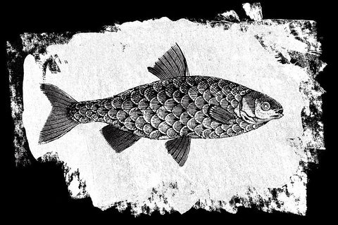 Fish I Black Modern Wood Framed Art Print by Adams, Sarah