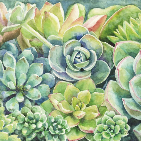 Succulents Black Modern Wood Framed Art Print by Trimbach, Leslie