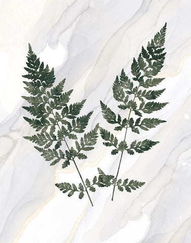 Agate Ferns VII Black Modern Wood Framed Art Print by Wild Apple Portfolio