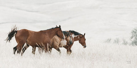 Horse Moves Black Ornate Wood Framed Art Print with Double Matting by Larson, Nathan