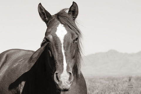 Wind Blown BW White Modern Wood Framed Art Print with Double Matting by Larson, Nathan