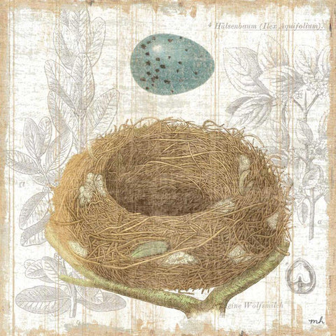 Botanical Nest III Black Ornate Wood Framed Art Print with Double Matting by Hershey, Moira