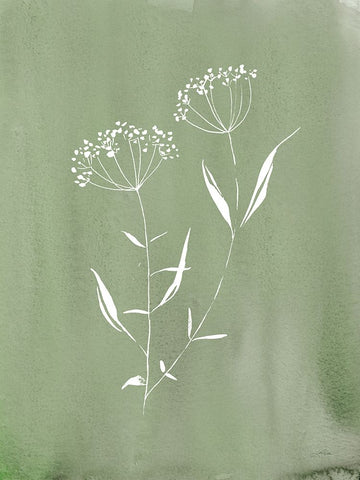 Cottage Wildflowers II White Modern Wood Framed Art Print with Double Matting by Pete, Katrina